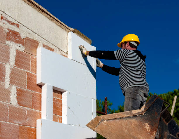 Best Fiberglass Insulation  in Ofallon, MO