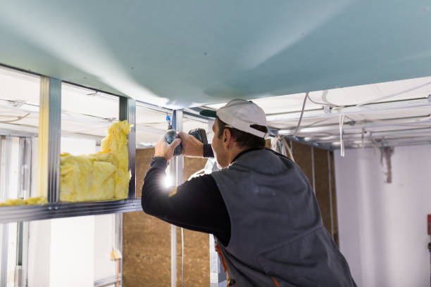 Best Garage Insulation Installation  in Ofallon, MO