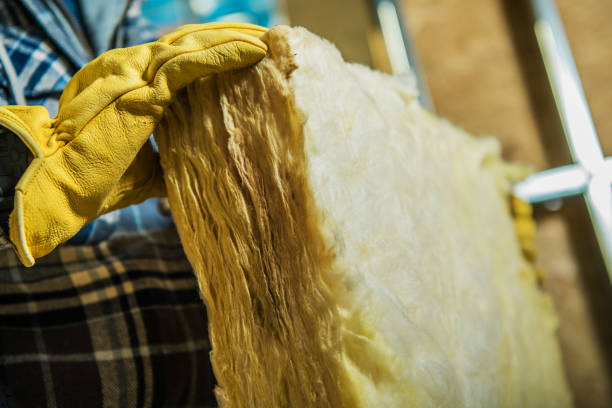 Best Insulation Removal Services  in Ofallon, MO