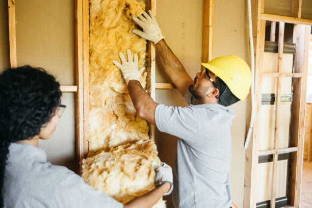 Best Cellulose Insulation  in Ofallon, MO