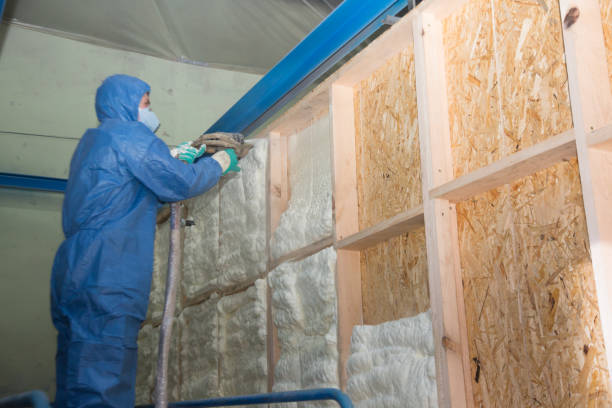 Best Insulation Contractor Near Me  in Ofallon, MO