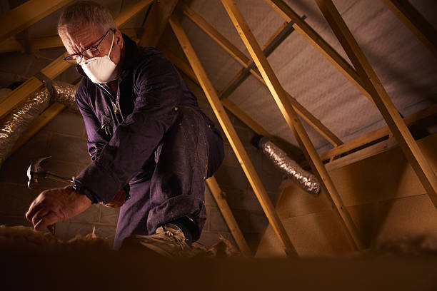 Best Professional Insulation Contractor  in Ofallon, MO